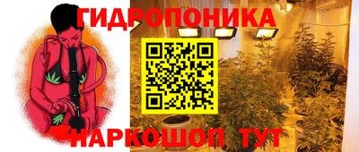 a pvp Ярославль
