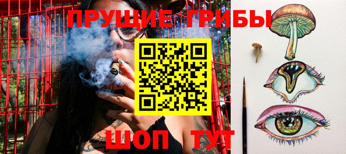 Галлюциногенные грибы мухоморы Сальск