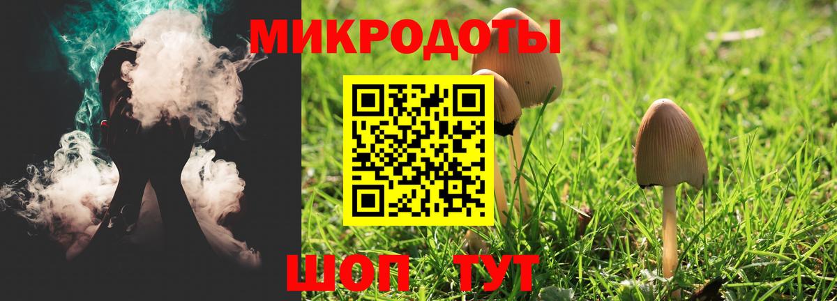 Псилоцибиновые грибы Magic Shrooms  Вход с VPN  Сальск 