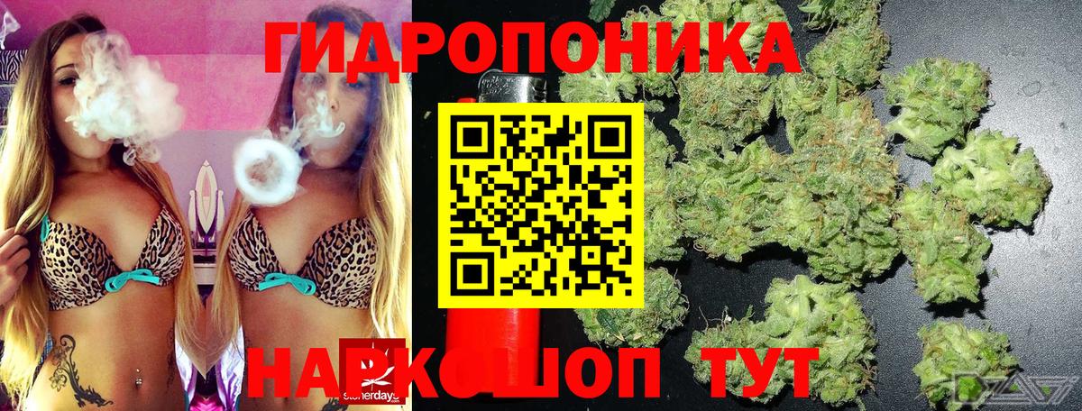 Каннабис White Widow Сальск